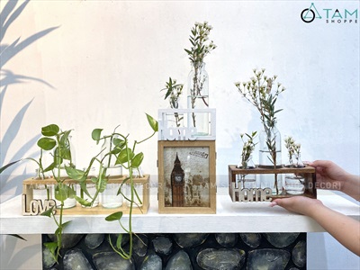 Bộ khung gỗ chữ nhật kèm lọ thuỷ tinh cắm hoa thuỷ canh [3 màu - 3 size] BINHLOHOA-05